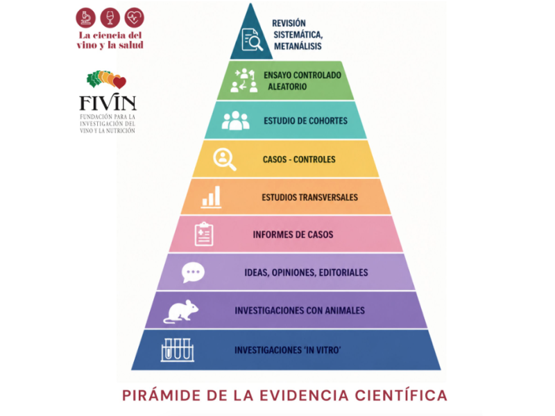 Cómo interpretar la evidencia científica: una aproximación a los diferentes tipos de estudios
