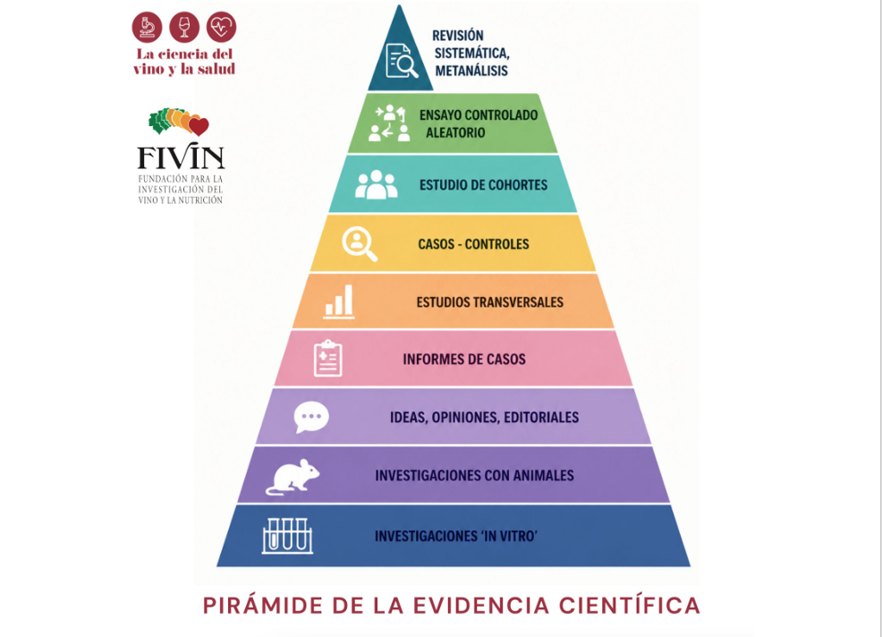 Cómo interpretar la evidencia científica: una aproximación a los diferentes tipos de estudios